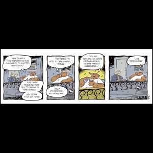 Ένα αρκούδι μετράει τ’άστρα 22.02.2025